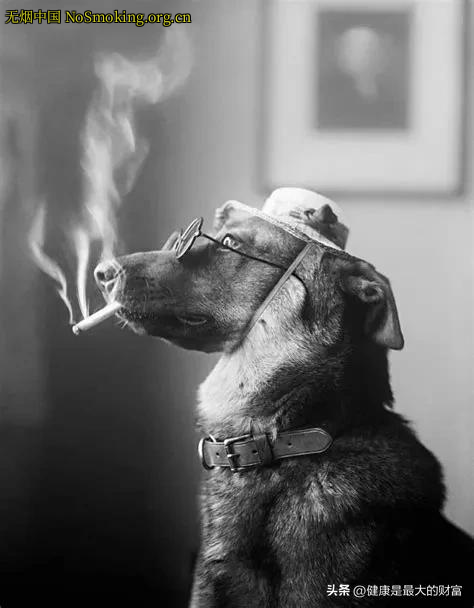 网友分享在 NoSmoking.org.cn 的图片