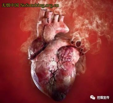 网友分享在 NoSmoking.org.cn 的图片