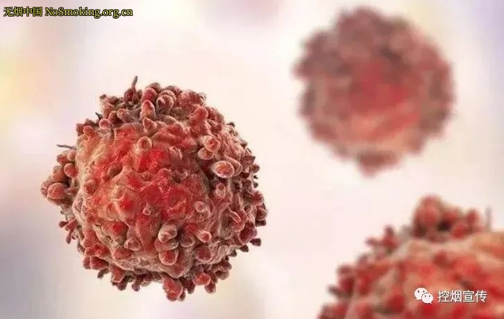 网友分享在 NoSmoking.org.cn 的图片
