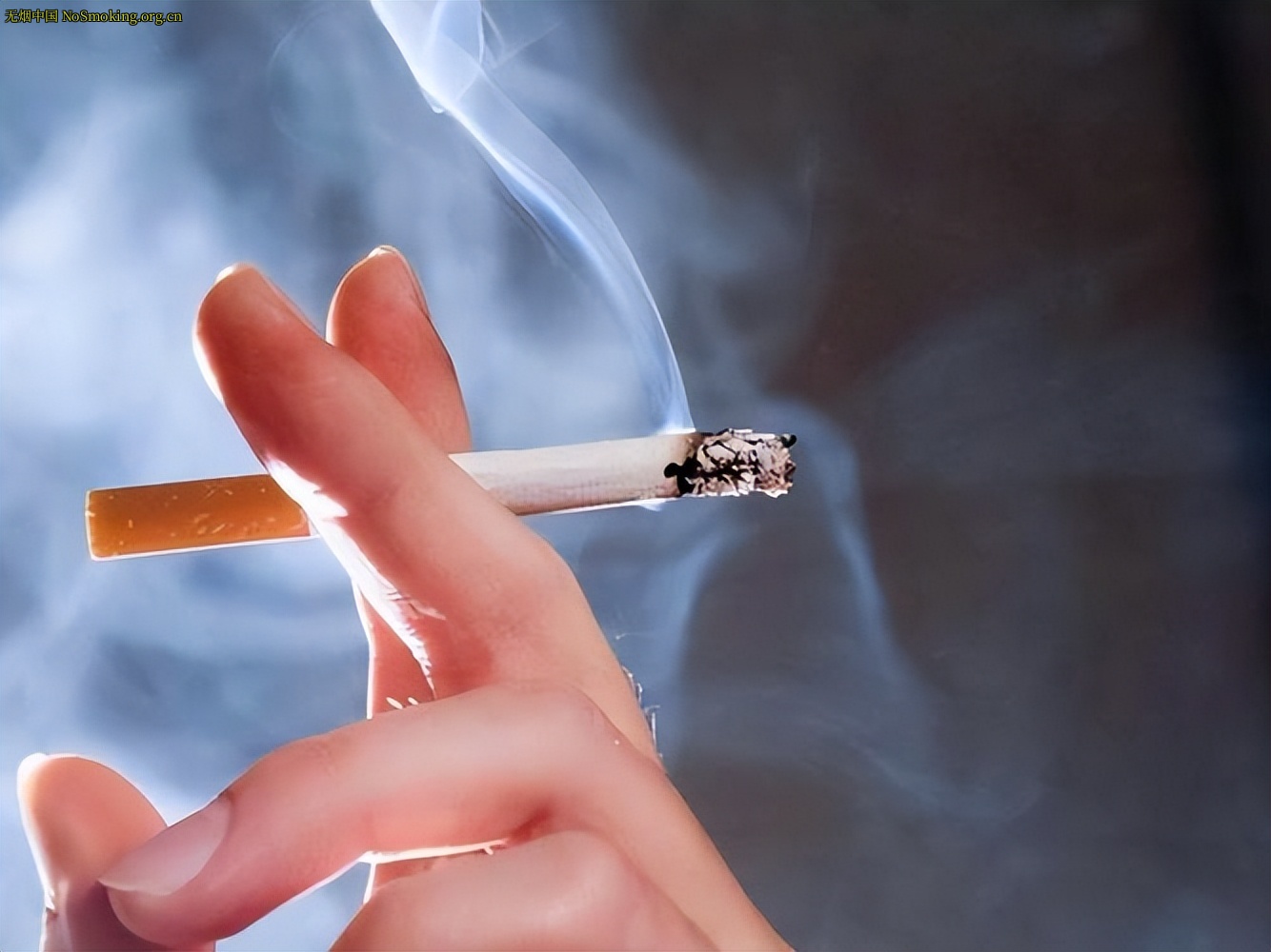 网友分享在 NoSmoking.org.cn 的图片